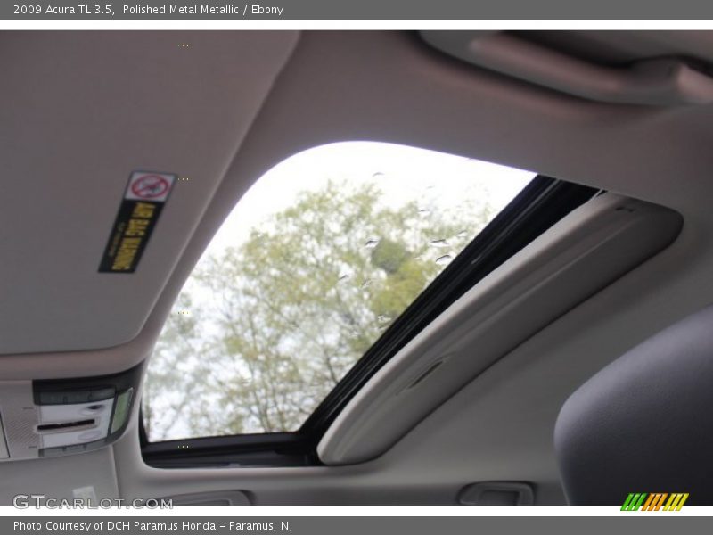 Polished Metal Metallic / Ebony 2009 Acura TL 3.5