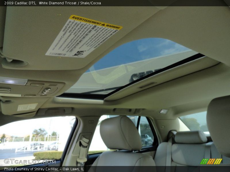 White Diamond Tricoat / Shale/Cocoa 2009 Cadillac DTS