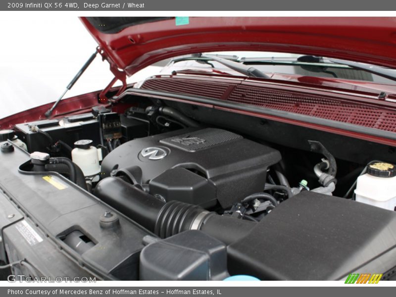 Deep Garnet / Wheat 2009 Infiniti QX 56 4WD
