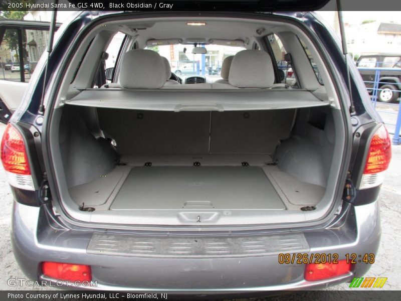 Black Obsidian / Gray 2005 Hyundai Santa Fe GLS 4WD