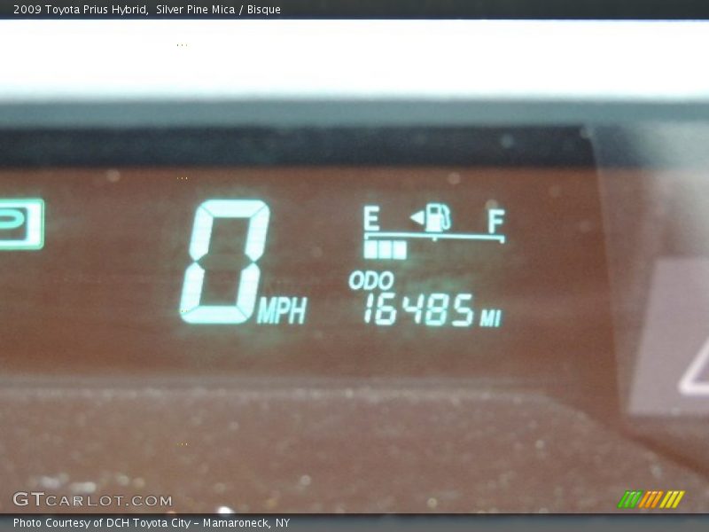 Silver Pine Mica / Bisque 2009 Toyota Prius Hybrid