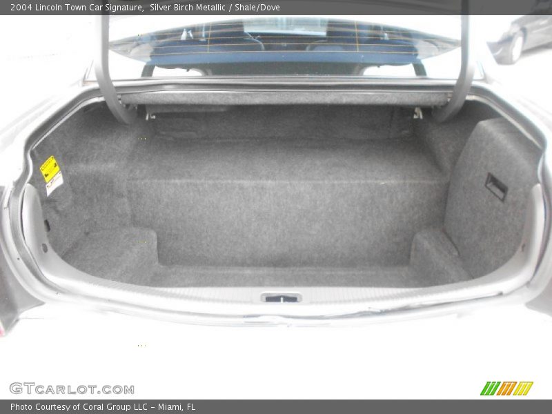 Silver Birch Metallic / Shale/Dove 2004 Lincoln Town Car Signature