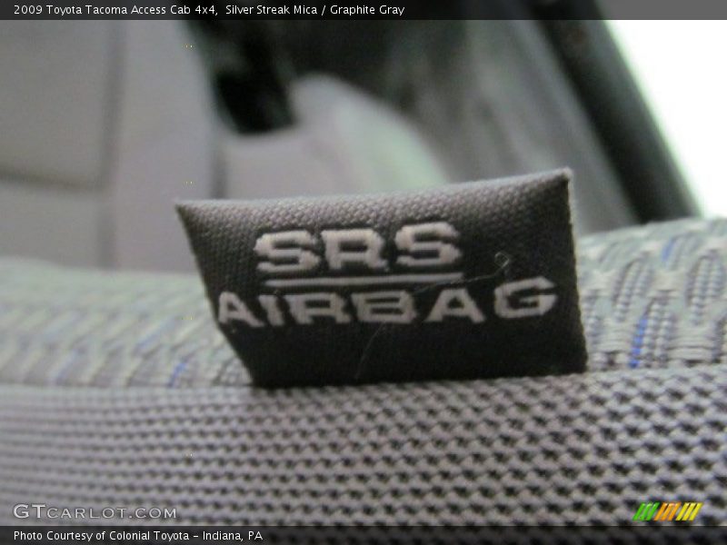 Silver Streak Mica / Graphite Gray 2009 Toyota Tacoma Access Cab 4x4