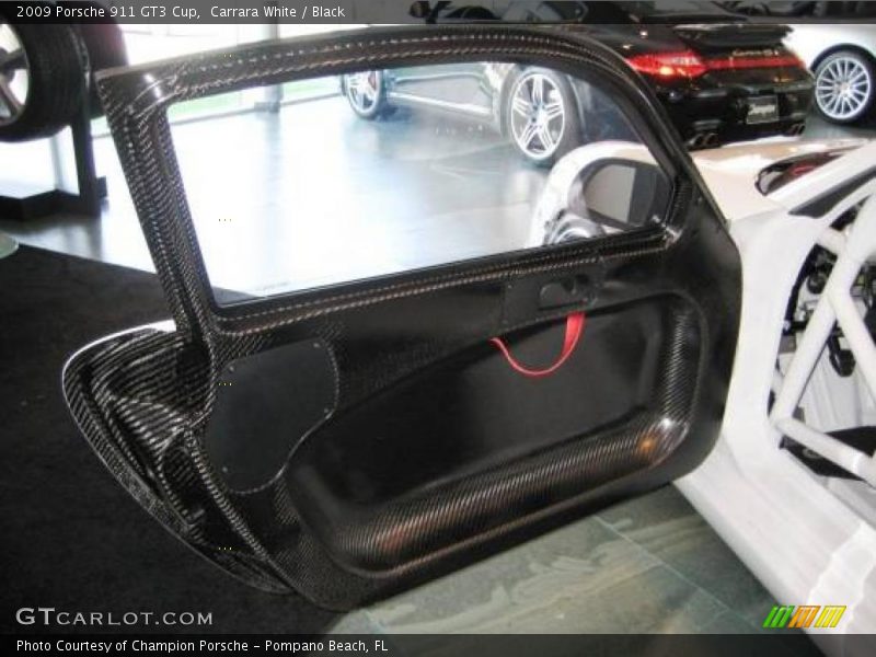 Door Panel of 2009 911 GT3 Cup