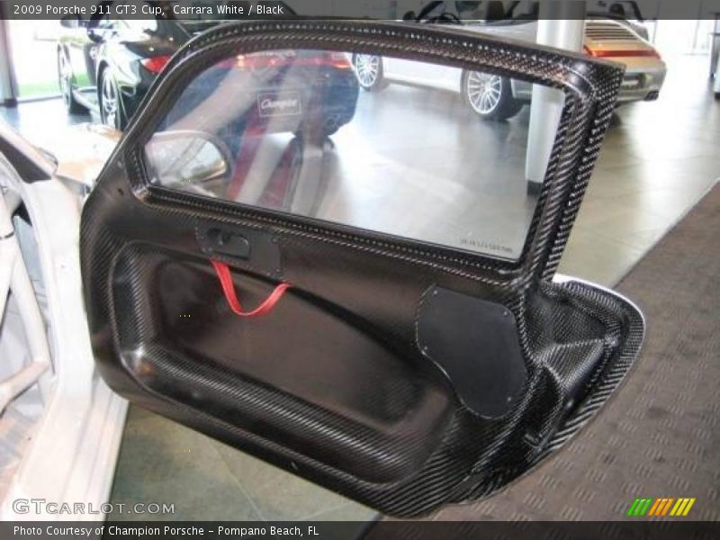 Door Panel of 2009 911 GT3 Cup