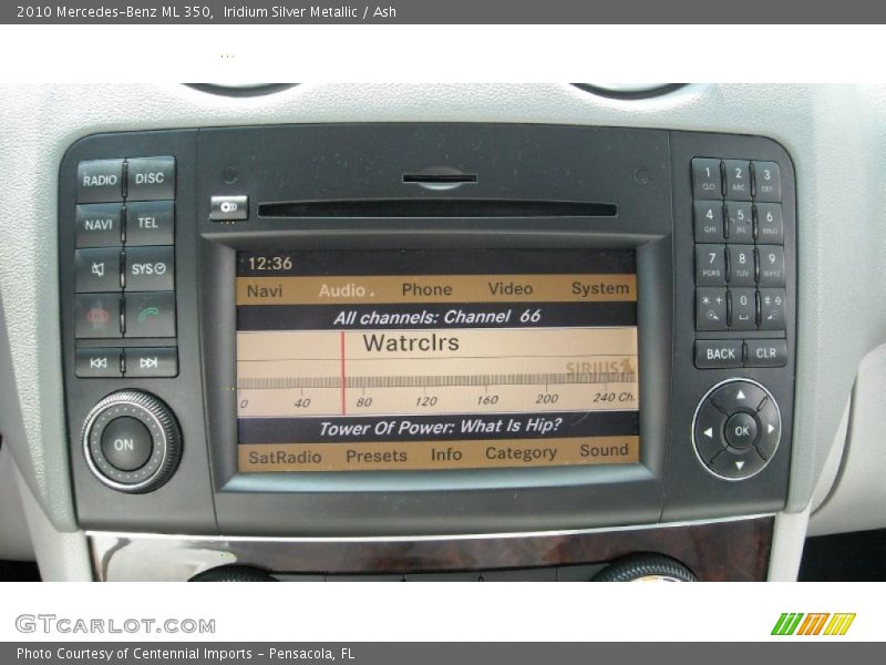 Iridium Silver Metallic / Ash 2010 Mercedes-Benz ML 350