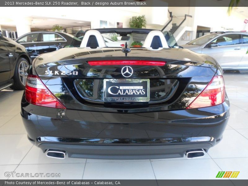 Black / designo Auburn Brown/Black 2013 Mercedes-Benz SLK 250 Roadster