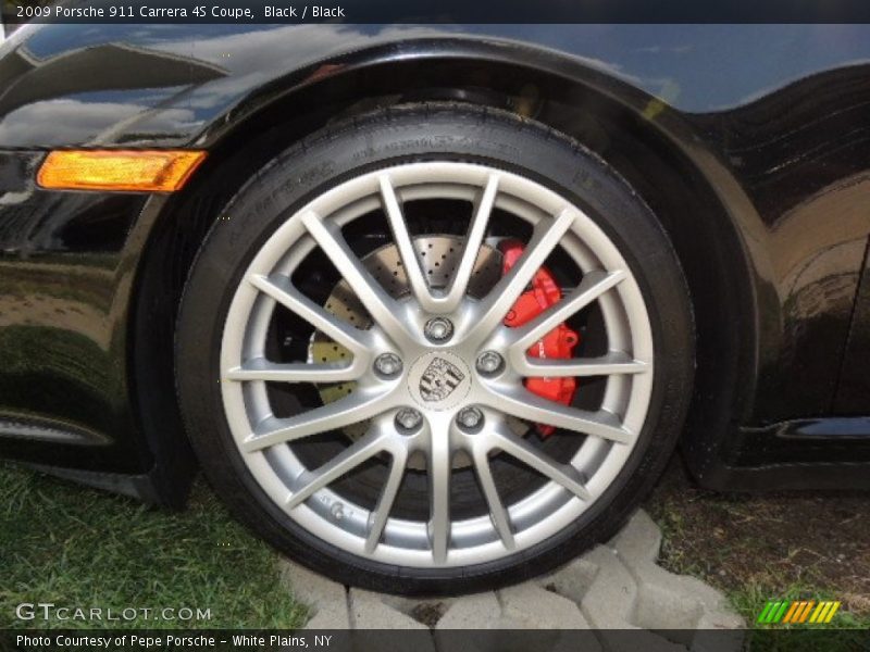  2009 911 Carrera 4S Coupe Wheel