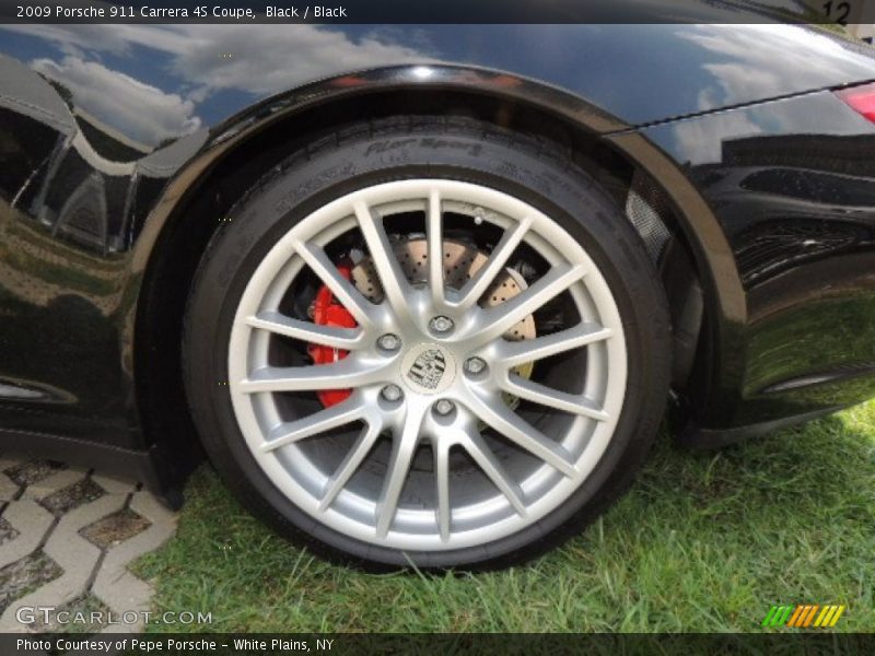  2009 911 Carrera 4S Coupe Wheel