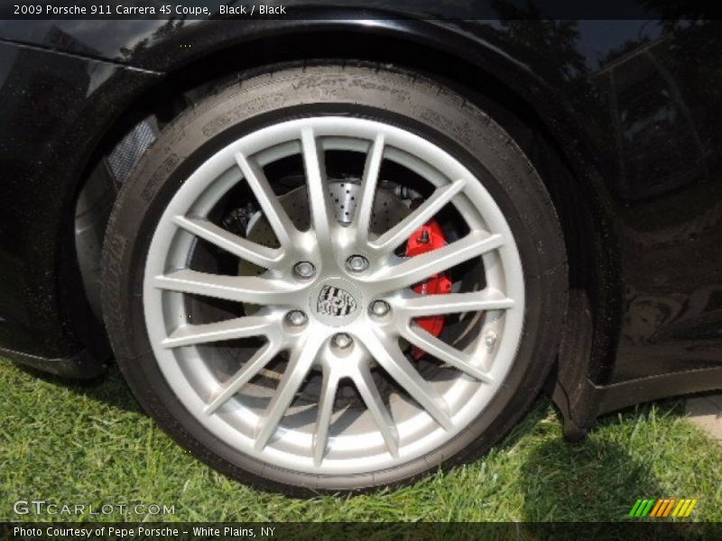  2009 911 Carrera 4S Coupe Wheel