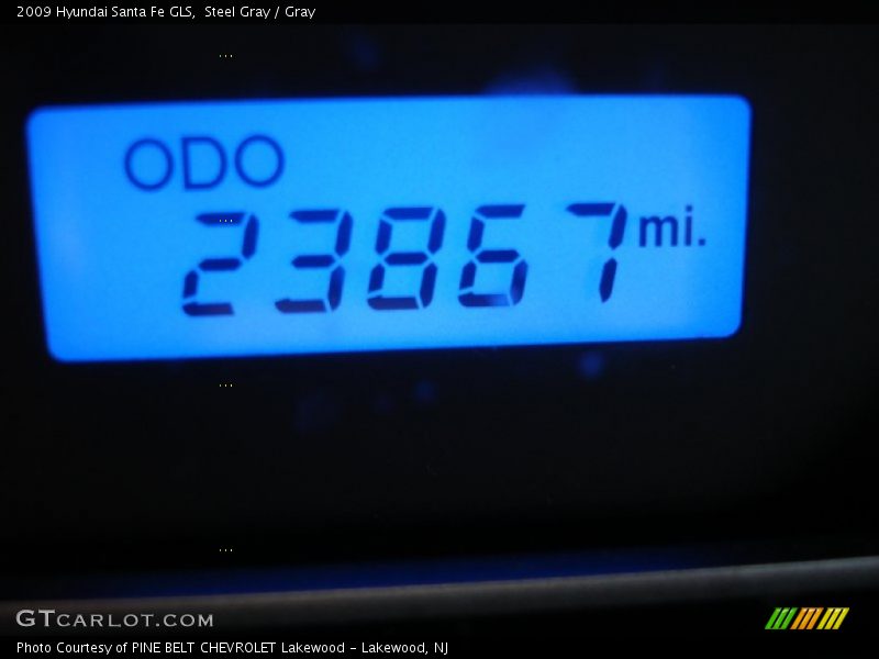 Steel Gray / Gray 2009 Hyundai Santa Fe GLS
