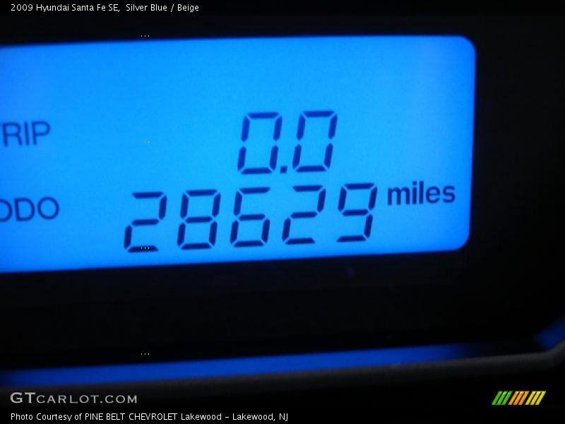 Silver Blue / Beige 2009 Hyundai Santa Fe SE