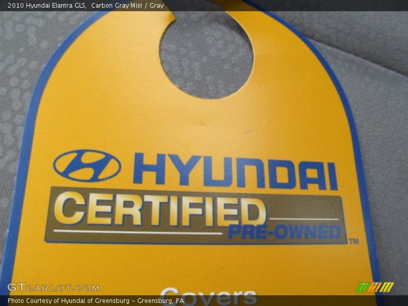 Carbon Gray Mist / Gray 2010 Hyundai Elantra GLS