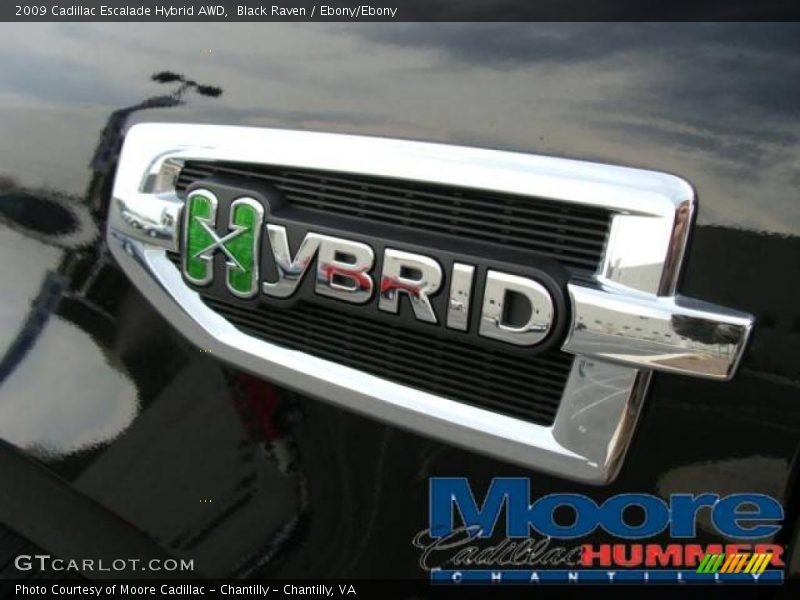 Black Raven / Ebony/Ebony 2009 Cadillac Escalade Hybrid AWD