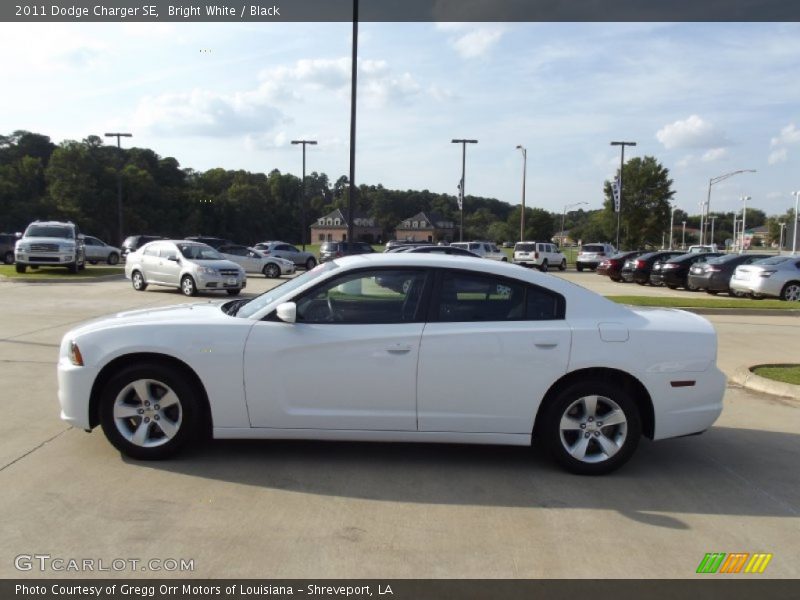 Bright White / Black 2011 Dodge Charger SE
