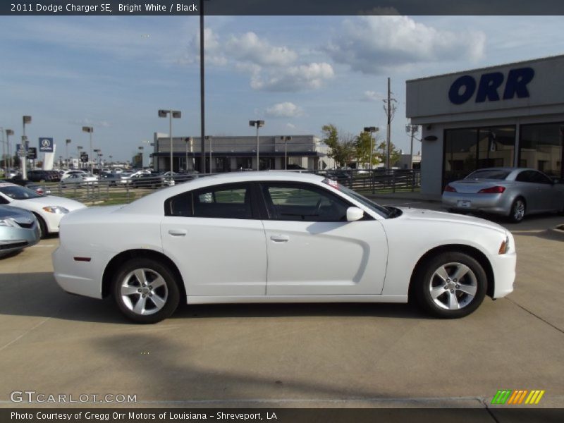 Bright White / Black 2011 Dodge Charger SE