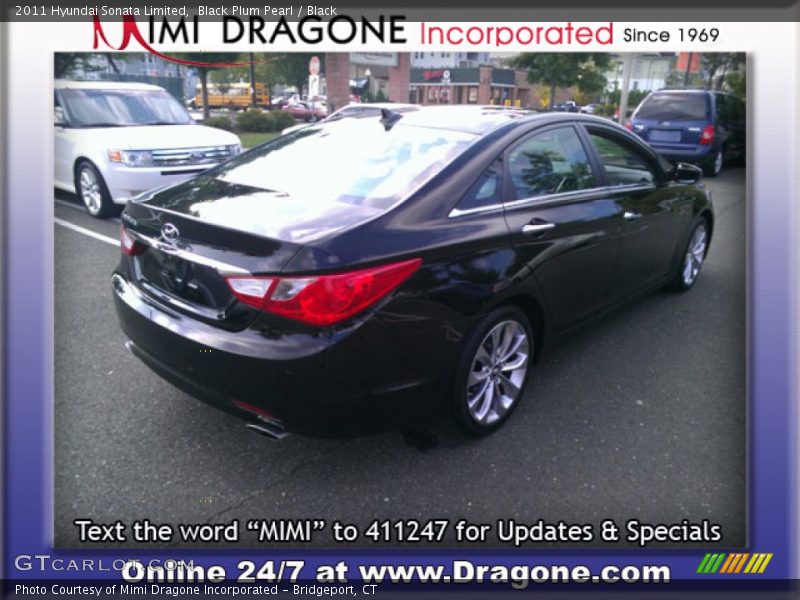 Black Plum Pearl / Black 2011 Hyundai Sonata Limited