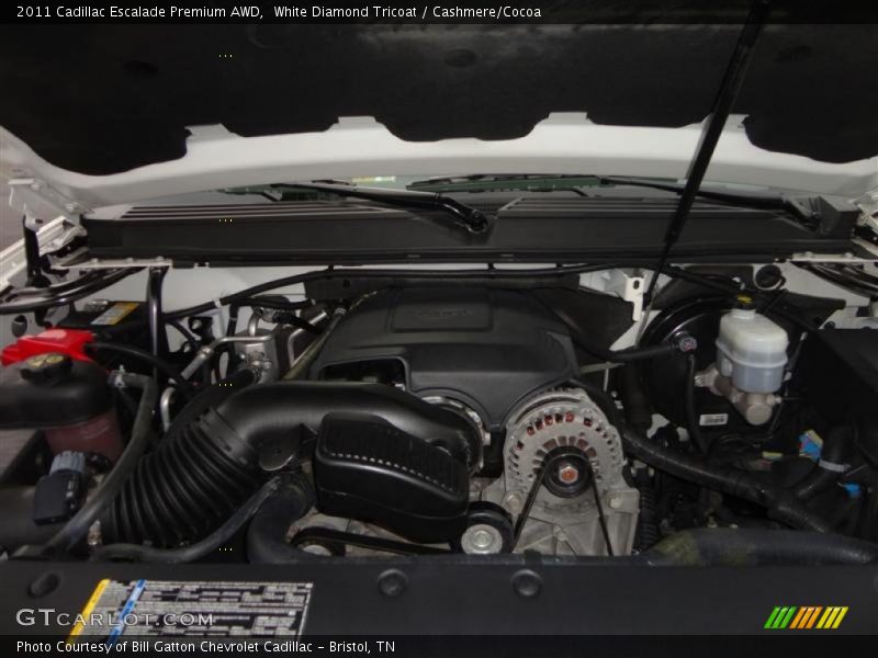 White Diamond Tricoat / Cashmere/Cocoa 2011 Cadillac Escalade Premium AWD