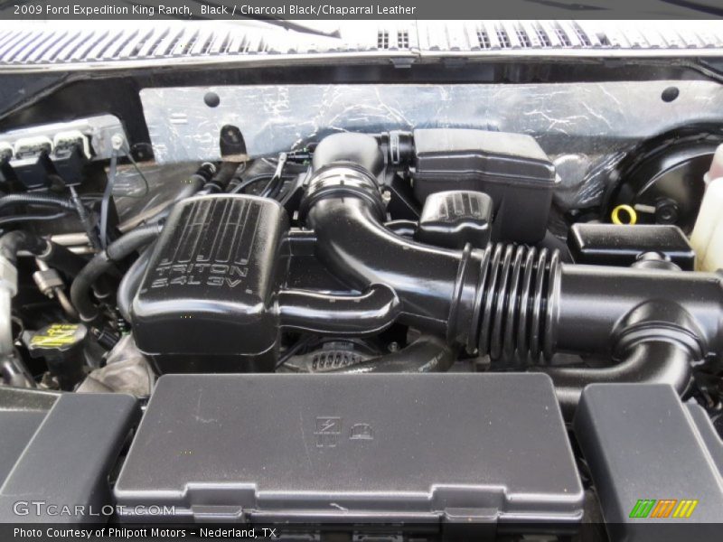 Black / Charcoal Black/Chaparral Leather 2009 Ford Expedition King Ranch