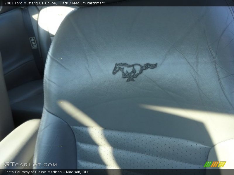 Black / Medium Parchment 2001 Ford Mustang GT Coupe