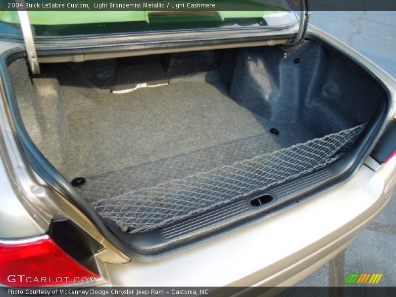 Light Bronzemist Metallic / Light Cashmere 2004 Buick LeSabre Custom