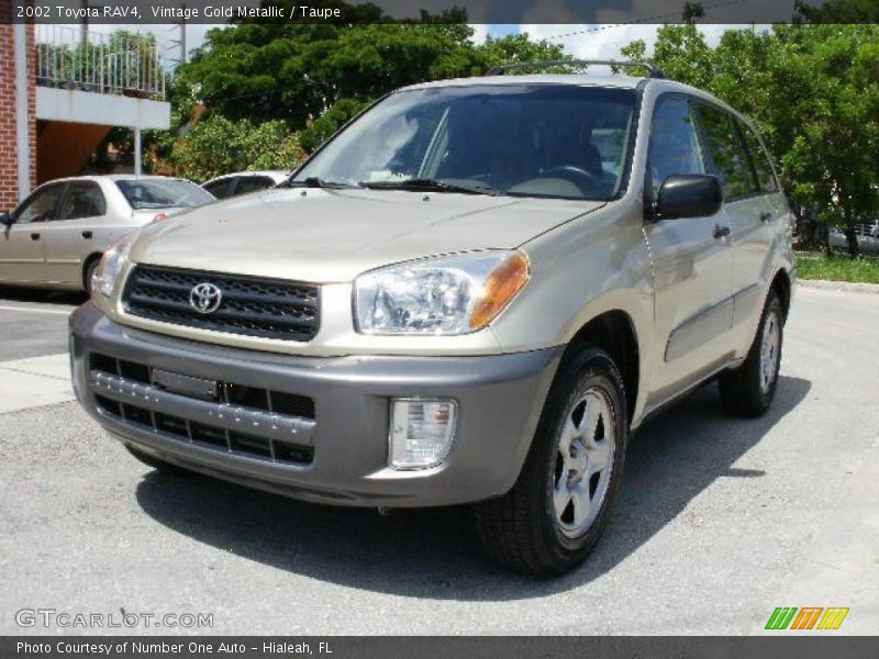 Vintage Gold Metallic / Taupe 2002 Toyota RAV4