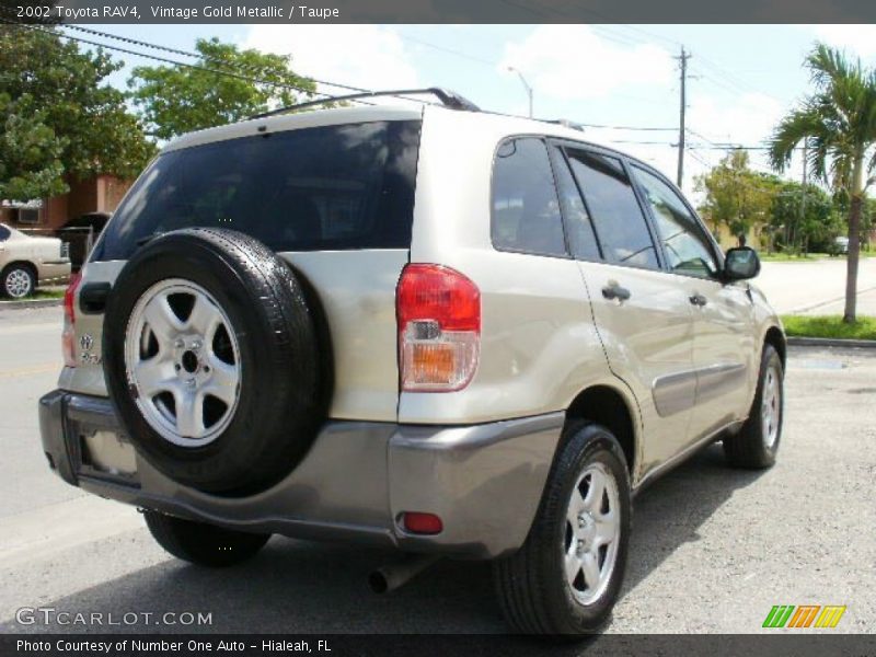 Vintage Gold Metallic / Taupe 2002 Toyota RAV4