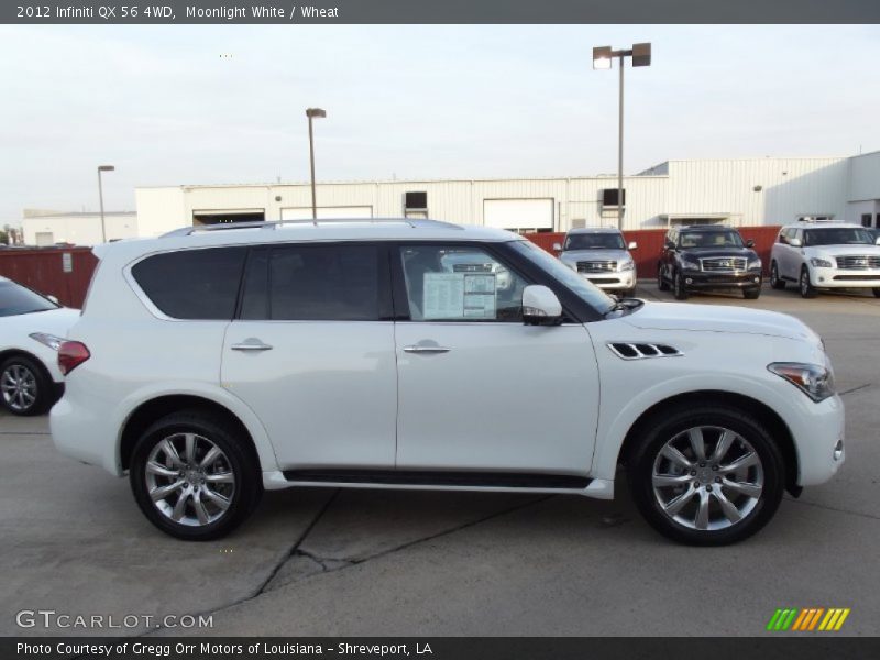 Moonlight White / Wheat 2012 Infiniti QX 56 4WD
