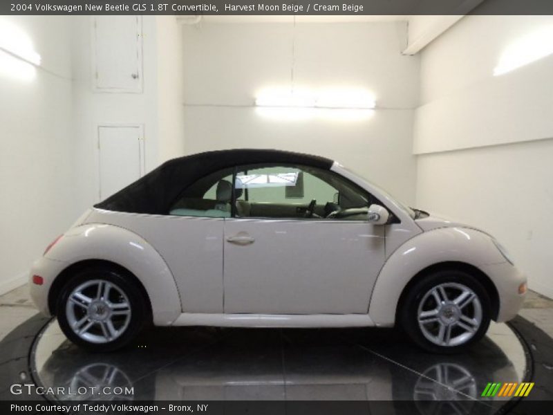 Harvest Moon Beige / Cream Beige 2004 Volkswagen New Beetle GLS 1.8T Convertible