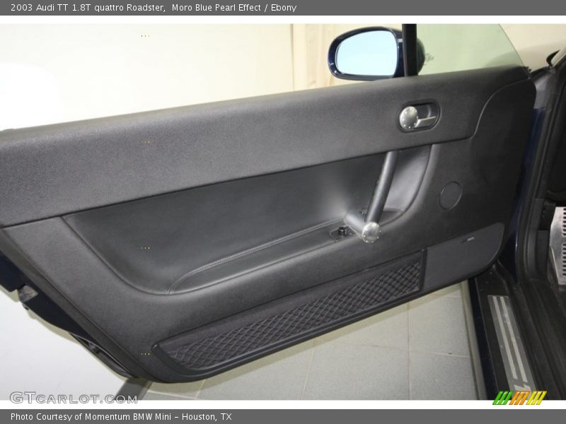 Door Panel of 2003 TT 1.8T quattro Roadster