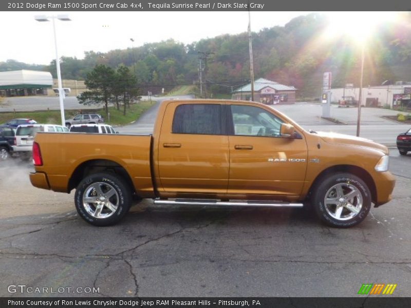 Tequila Sunrise Pearl / Dark Slate Gray 2012 Dodge Ram 1500 Sport Crew Cab 4x4