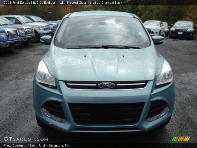 Frosted Glass Metallic / Charcoal Black 2013 Ford Escape SEL 2.0L EcoBoost 4WD