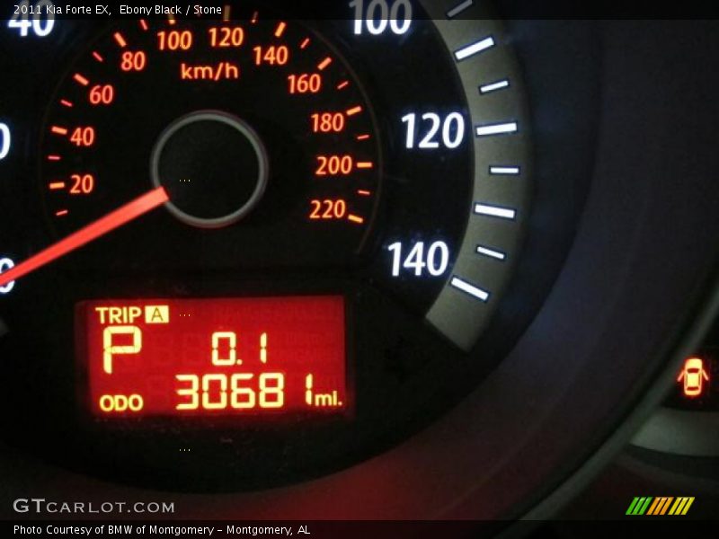 Ebony Black / Stone 2011 Kia Forte EX
