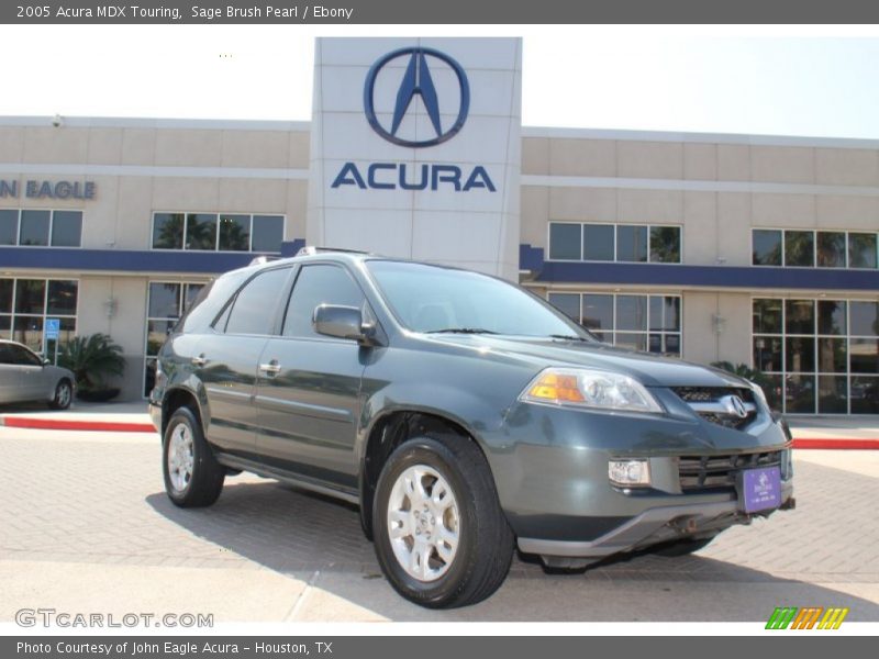 Sage Brush Pearl / Ebony 2005 Acura MDX Touring