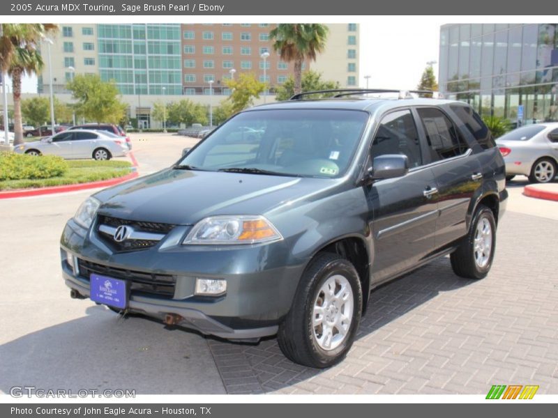 Sage Brush Pearl / Ebony 2005 Acura MDX Touring
