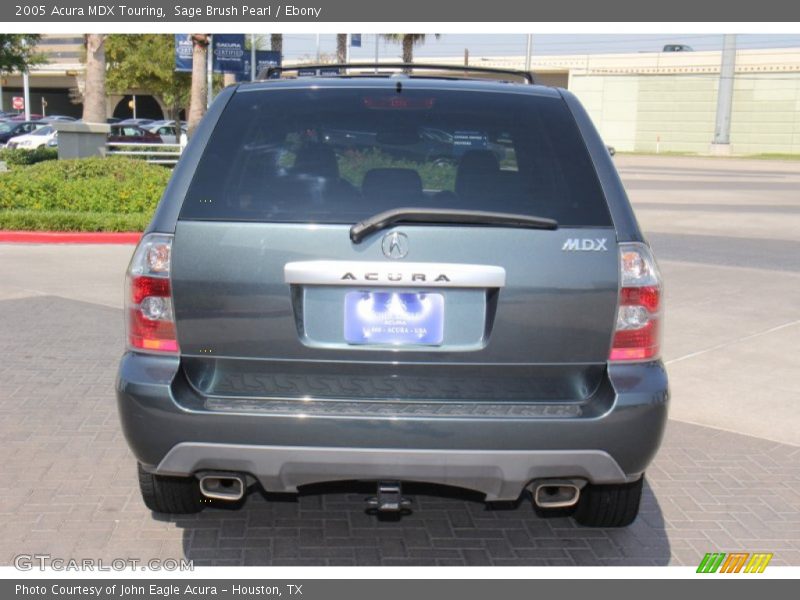 Sage Brush Pearl / Ebony 2005 Acura MDX Touring