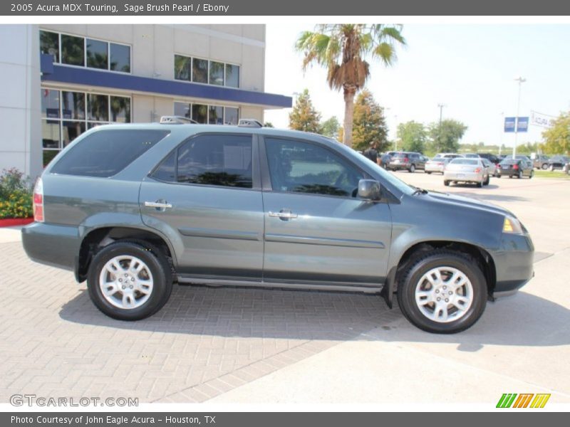Sage Brush Pearl / Ebony 2005 Acura MDX Touring