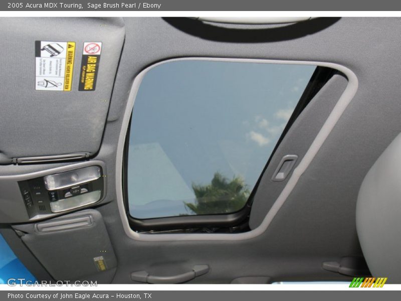 Sage Brush Pearl / Ebony 2005 Acura MDX Touring