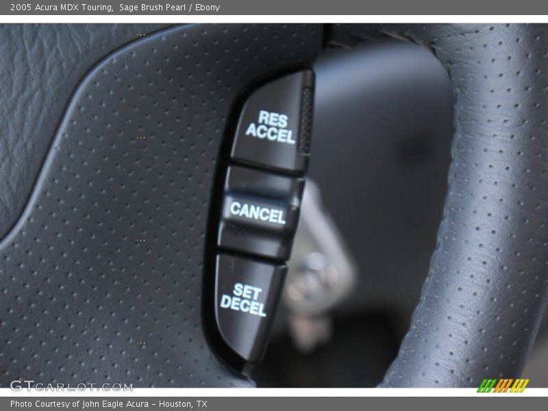 Sage Brush Pearl / Ebony 2005 Acura MDX Touring