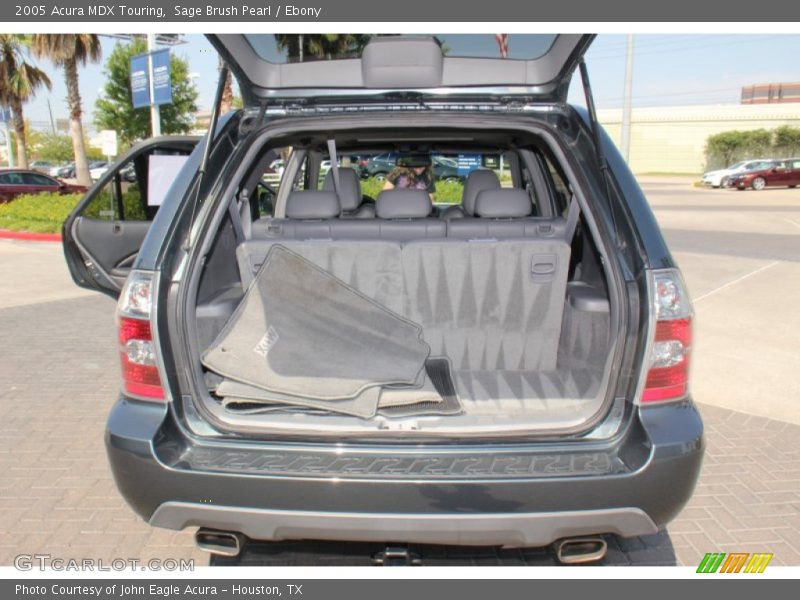 Sage Brush Pearl / Ebony 2005 Acura MDX Touring
