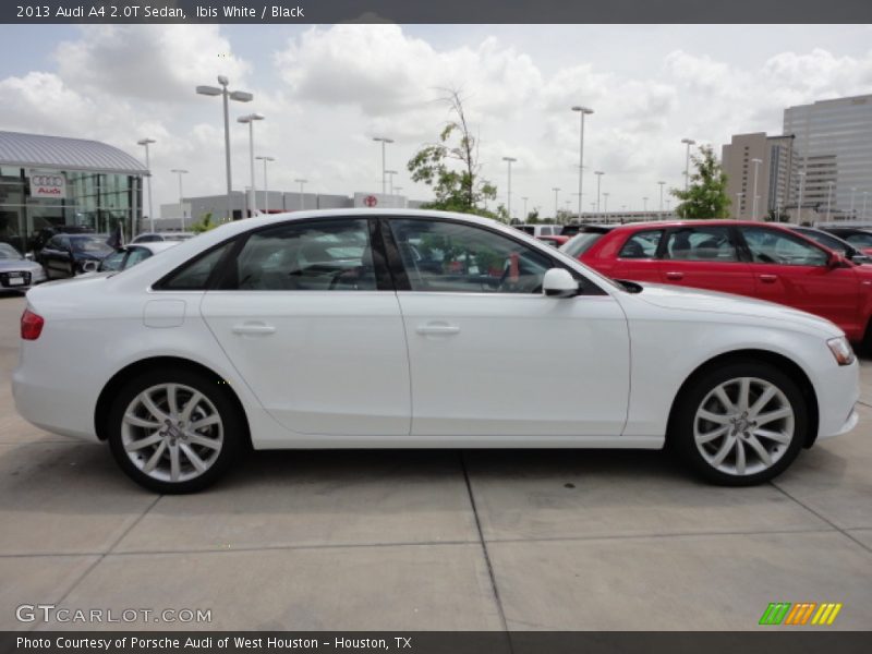 Ibis White / Black 2013 Audi A4 2.0T Sedan