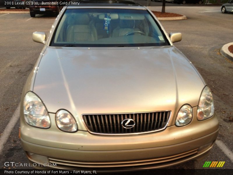 Burnished Gold / Ivory 2001 Lexus GS 300