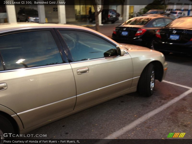 Burnished Gold / Ivory 2001 Lexus GS 300