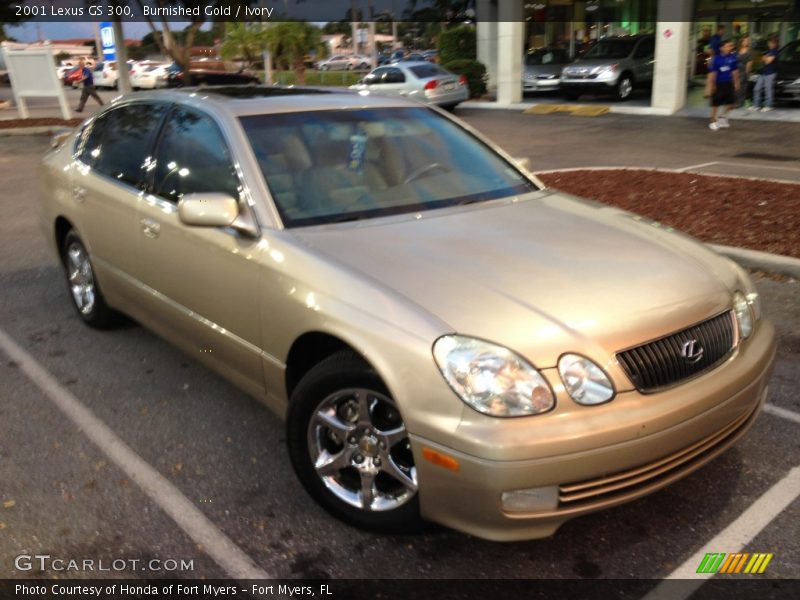 Burnished Gold / Ivory 2001 Lexus GS 300