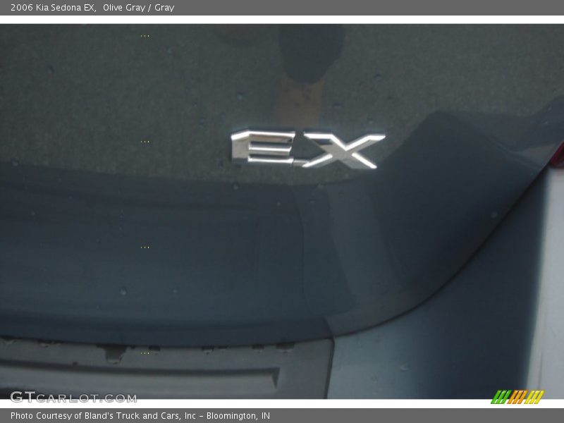 Olive Gray / Gray 2006 Kia Sedona EX