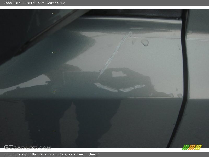 Olive Gray / Gray 2006 Kia Sedona EX