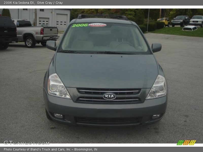 Olive Gray / Gray 2006 Kia Sedona EX