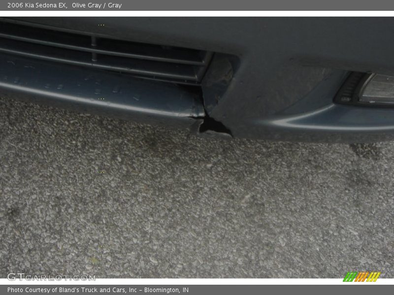 Olive Gray / Gray 2006 Kia Sedona EX