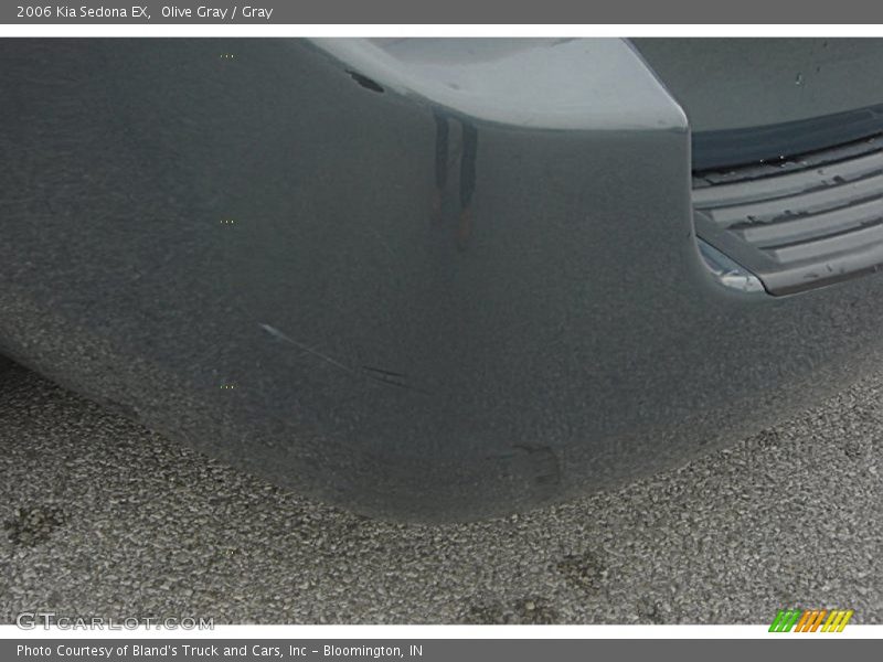 Olive Gray / Gray 2006 Kia Sedona EX