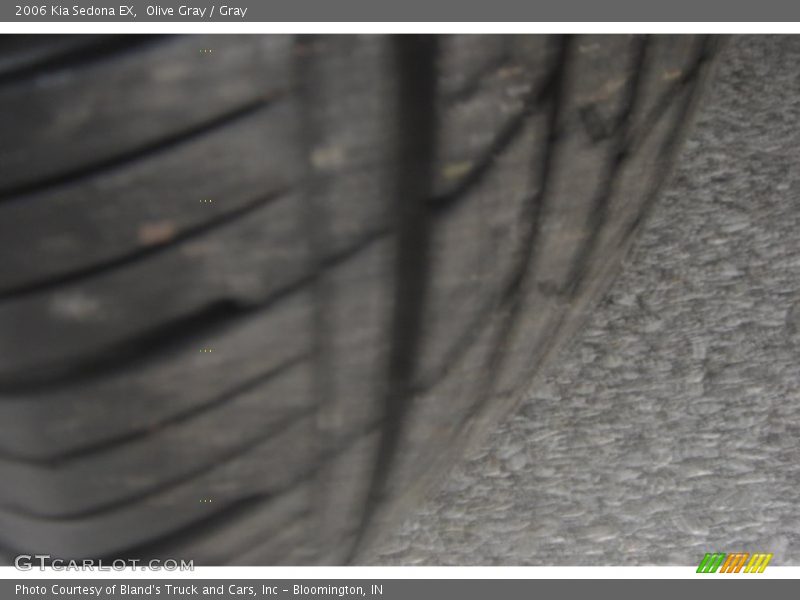 Olive Gray / Gray 2006 Kia Sedona EX